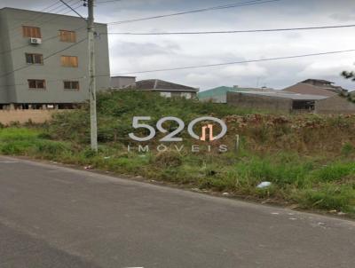 imagem-miniatura
