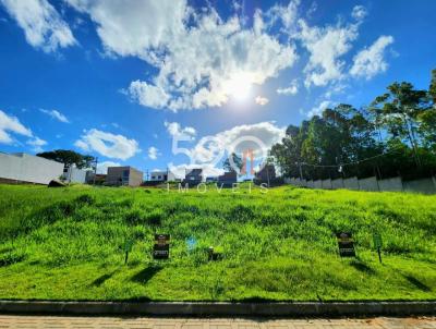 Terreno para Venda na cidade de Viam&atilde;o no bairro Stella Maris