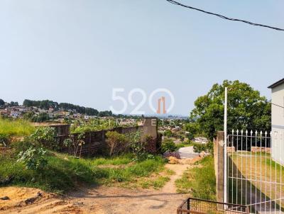 imagem-miniatura