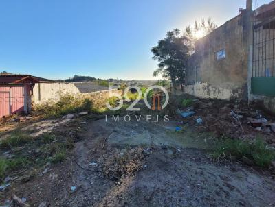 imagem-miniatura